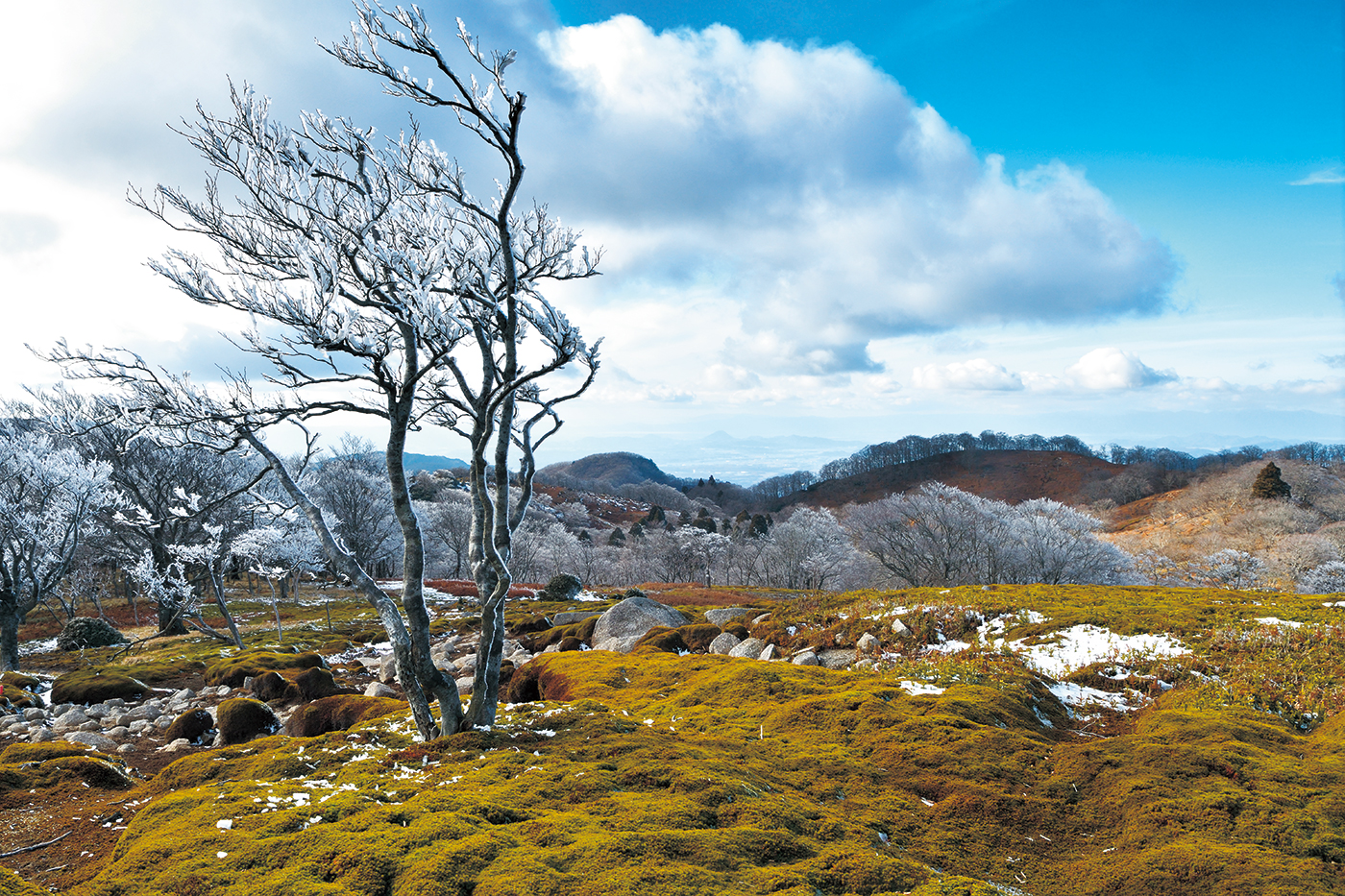 【ベニシアと正、明日を見つめて】
