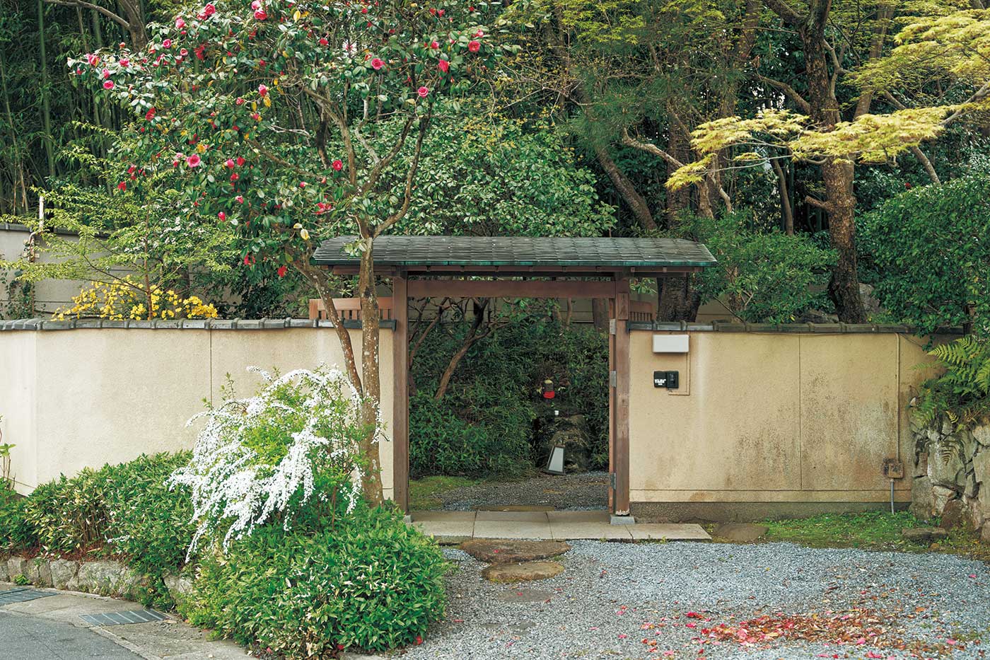 【寂庵つれづれ】古川三盛『春』